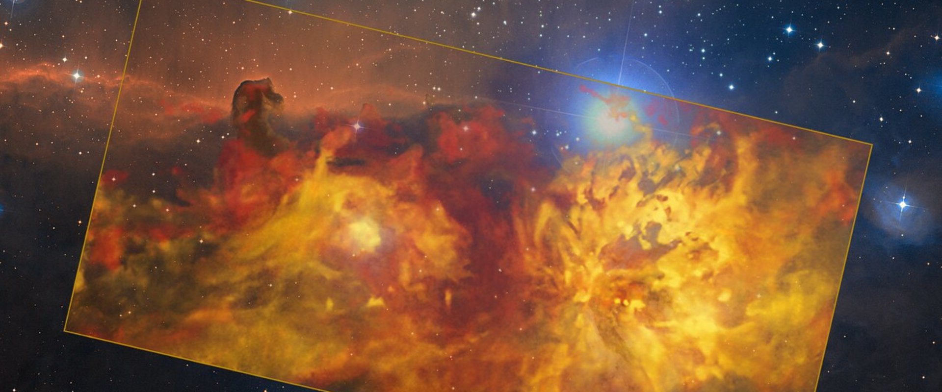 Book Stores In Orange County FL Blog The Bookworm